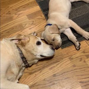 Meet your Posher, Madison